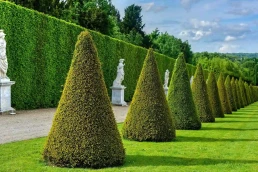 Grüne Pracht. Gartenkunst Park Versailles