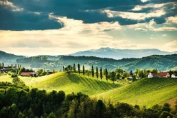 Europas Weine Styria vineyards landscape