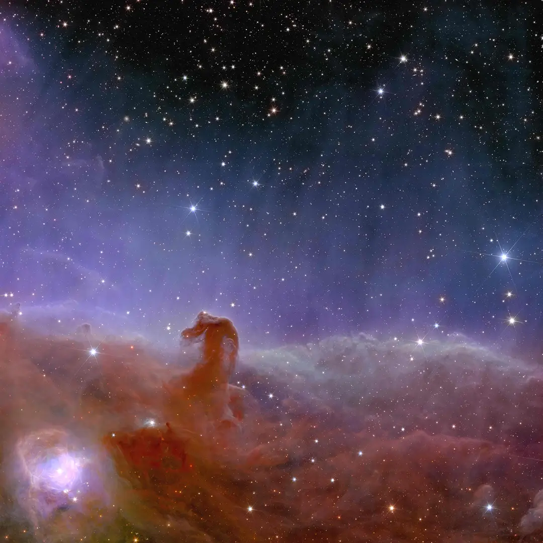 ESA/Euclid/Euclid Consortium/NASA, image processing by J.-C. Cuillandre (CEA Paris-Saclay), G. Anselmi, CC BY-SA 3.0 IGO