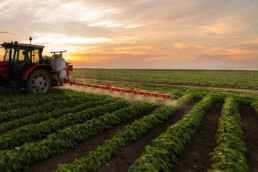 Tractor spraying soybean field in sunset