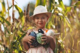 Little girl holding a harvest of vegetables in the garden. Sustainable organic food.