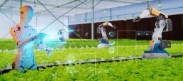 3D robot and robot arms in agricultural industry robotics solutions technology revolution, robot weeding harvesting nursery organic farm fully automated artificial intelligence smart virtual control