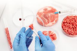 Petri dish with cultured meat in laboratory