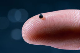 So klein ist der neueste ETH-Mikroroboter.